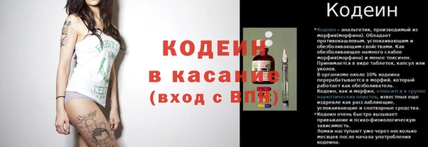 метадон Алексин