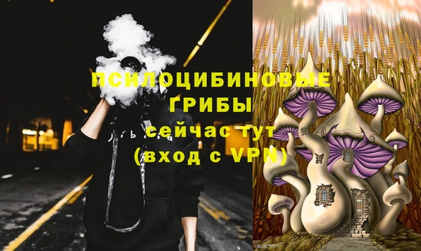 метадон Алексин