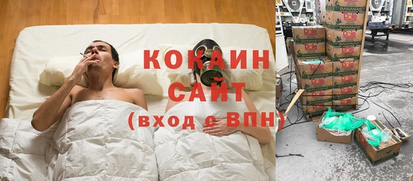метадон Алексин