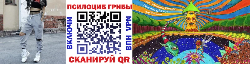 купить наркоту  ссылка на мегу как войти  Псилоцибиновые грибы прущие грибы  это состав  Камышин 